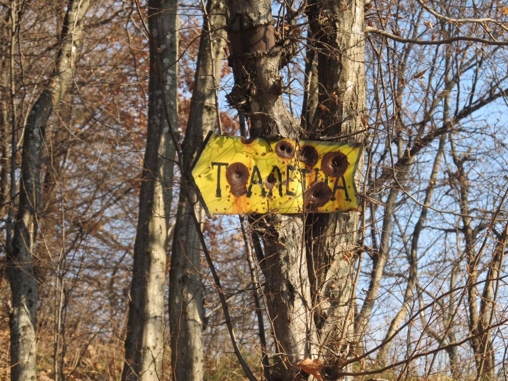 h1